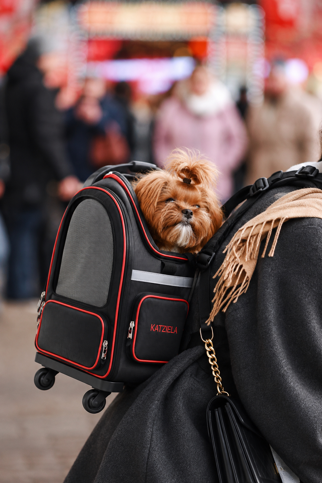 A small dog riding in a carrier backpack through a crowded street