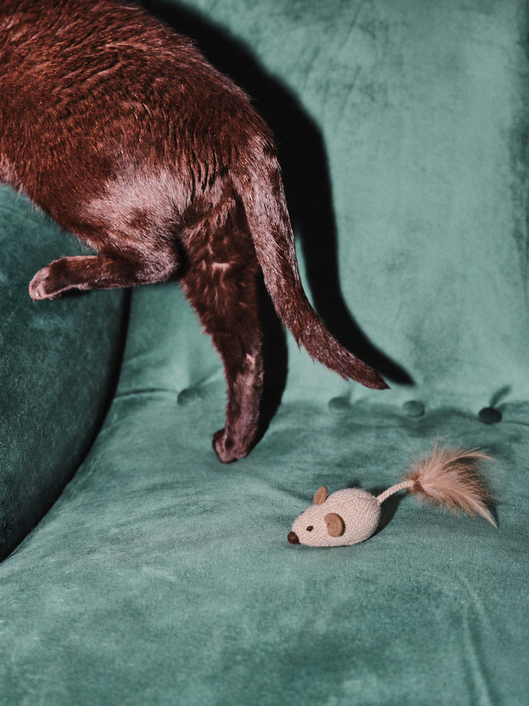 A cat making a getaway from its knitted mouse